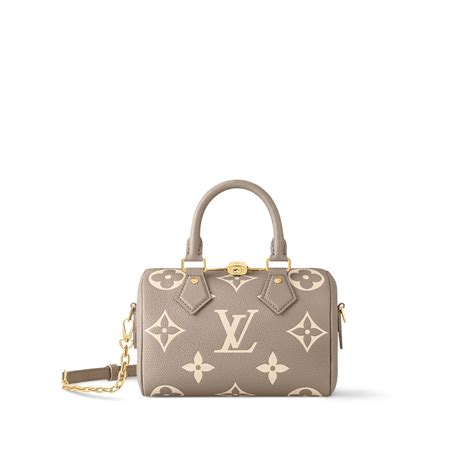 lv speedy 20 damier ebene.